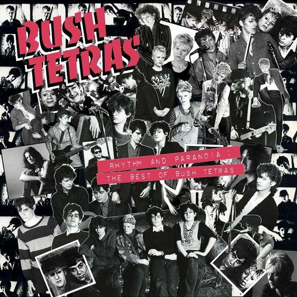 Bush Tetras Rhythm And Paranoia: The Best Of Bush Tetras Vinyl LP Box Set 2021 - ( VINYL LP )