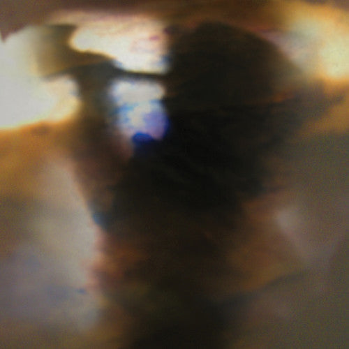 Animal Collective: Fall Be Kind - ( VINYL LP )