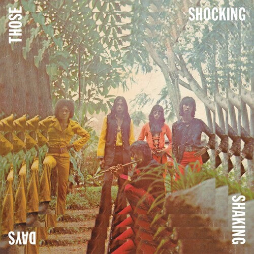 Various Artists: Those Shocking Shaking Days - ( VINYL LP )