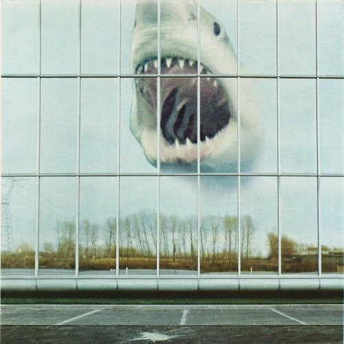 Black Mountain: Wilderness Heart - ( VINYL LP )