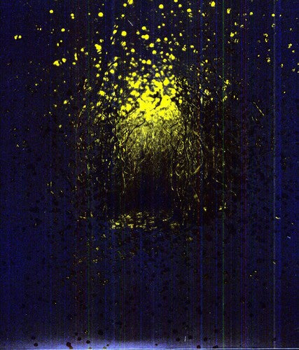 The Antlers: Burst Apart - ( VINYL LP )