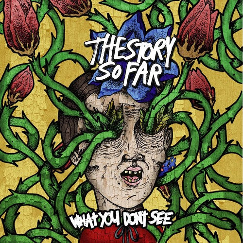 The Story So Far: What You Don't See - ( VINYL LP )