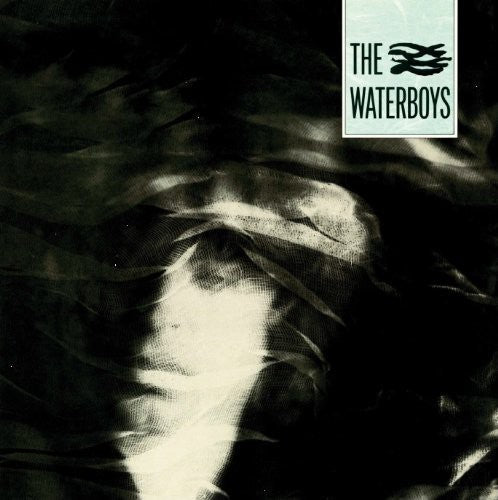 The Waterboys: Waterboys - ( VINYL LP )