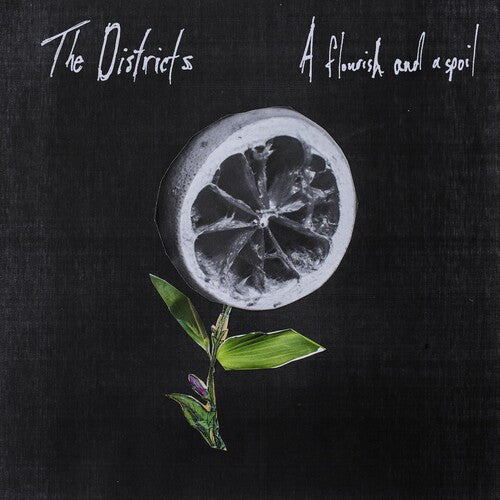 The Districts: Flourish and a Spoil - ( VINYL LP )