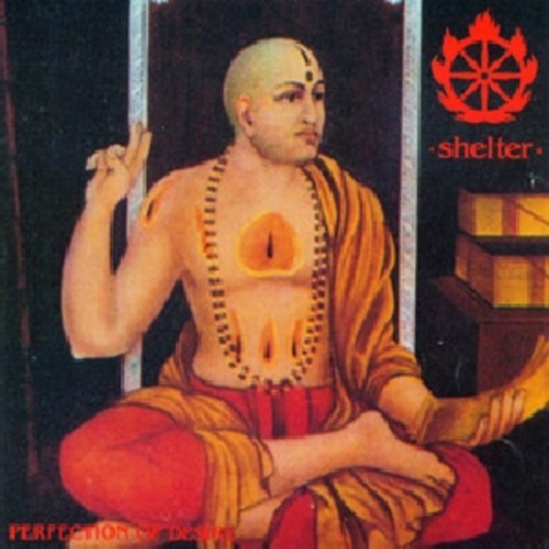 Shelter: Perfection of Desire - ( VINYL LP )