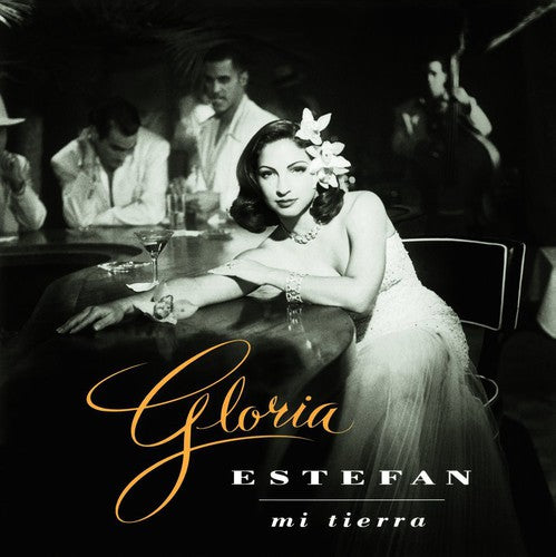 Gloria Estefan: Mi Tierra - ( VINYL LP )