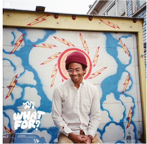 Toro y Moi: What for - ( VINYL LP )