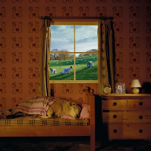 Umphrey's McGee: Safety in Numbers - ( VINYL LP )