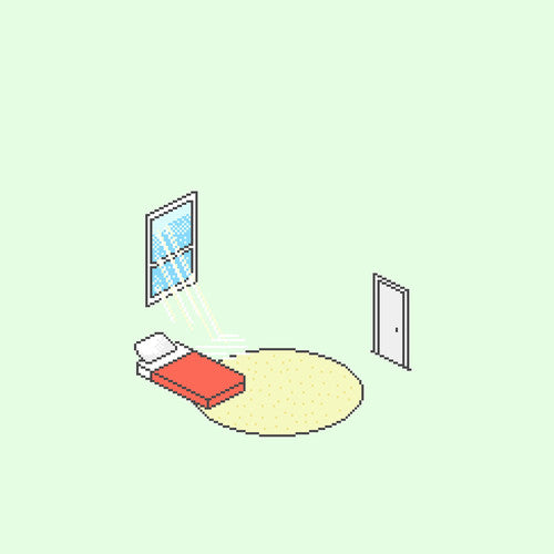 Florist: The Birds Outside Sang - ( VINYL LP )