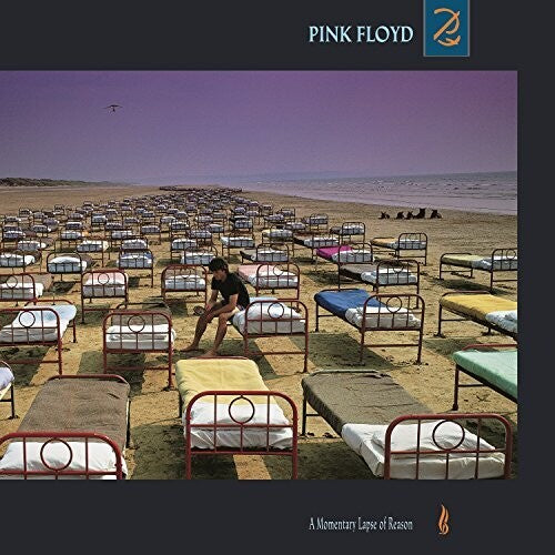 Pink Floyd: A Momentary Lapse Of Reason - ( VINYL LP )
