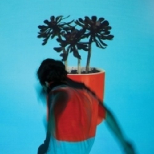 Local Natives: Sunlit Youth - ( VINYL LP )