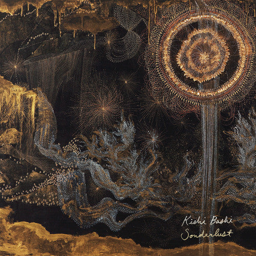 Kishi Bashi: Sonderlust - ( VINYL LP )
