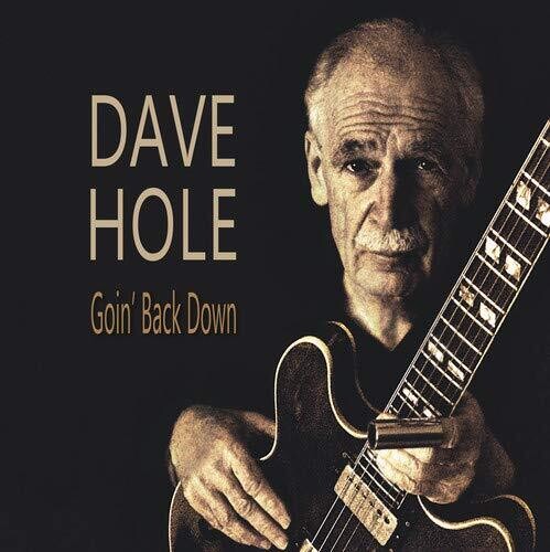 Dave Hole: Goin' Back Down - ( VINYL LP )