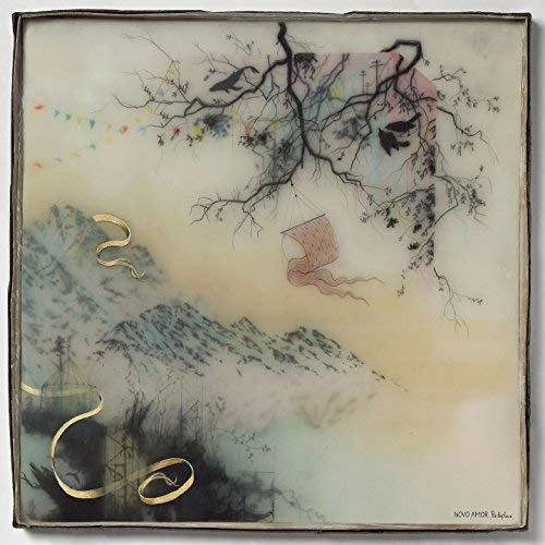 Novo Amor: Birthplace - ( VINYL LP )