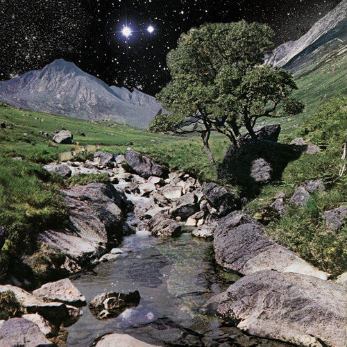 The Beta Band: The Beta Band - ( VINYL LP )