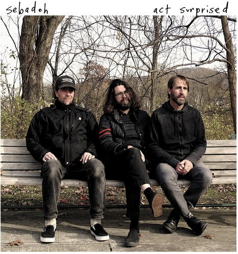Sebadoh: Act Surprised - ( VINYL LP )