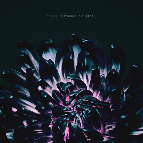 The Contortionist: Our Bones - ( VINYL LP )