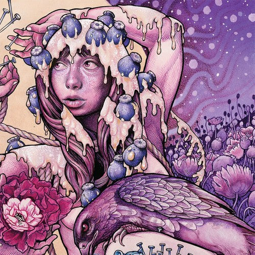Baroness: Try To Disappear - ( VINYL LP )