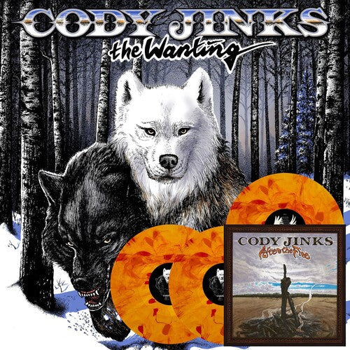 Cody Jinks: Wanting After The Fire - ( VINYL LP )