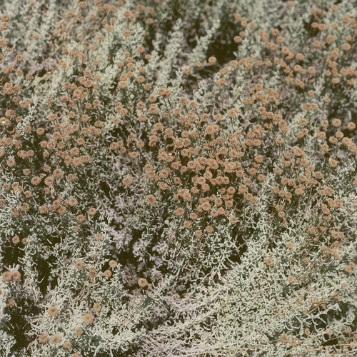 Loving: If I Am Only My Thoughts - ( VINYL LP )