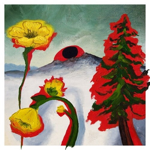 Woods: Strange To Explain - ( VINYL LP )