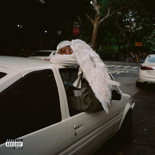 Blood Orange: Negro Swan - ( VINYL LP )