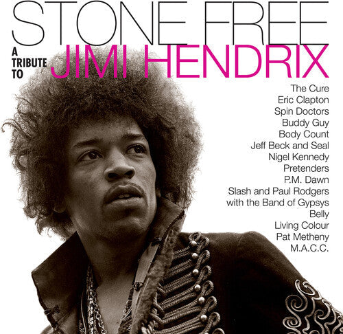 Jimmy Tribute Hendrix: Stone Free: Jimi Hendrix Tribute - ( VINYL LP )