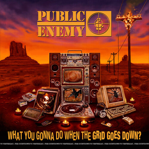 Public Enemy: What You Gonna Do When The Grid Goes Down? - ( VINYL LP )