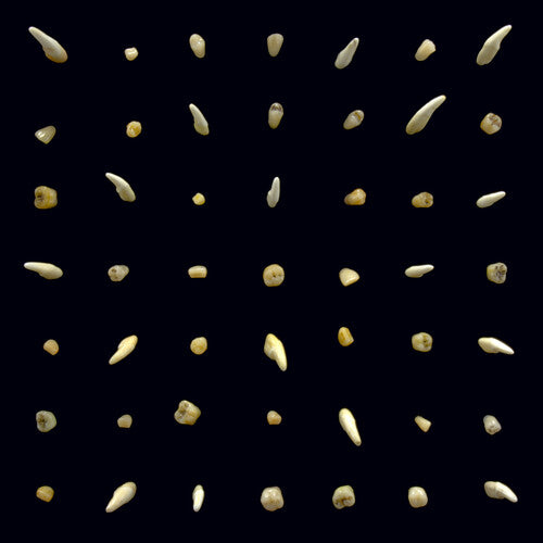 Clipping: Visions Of Bodies Being Burned - ( VINYL LP )