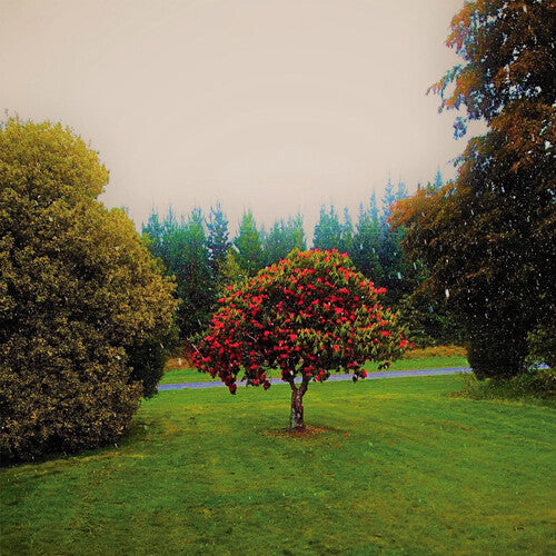 The Bats: Foothills - ( VINYL LP )