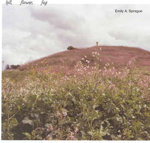 Emily a Sprague: Hill, Flower, Fog - ( VINYL LP )