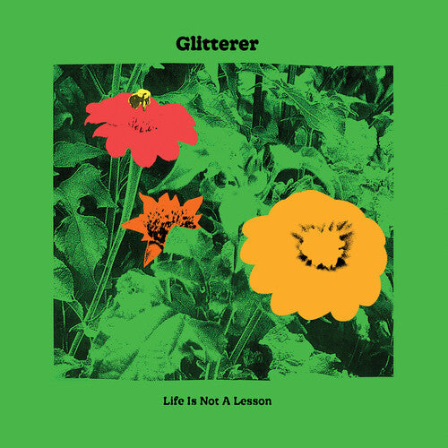 Glitterer: Life Is Not A Lesson - ( VINYL LP )