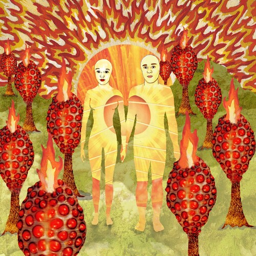 Of Montreal: The Sunlandic Twins - ( VINYL LP )