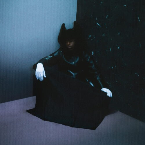 Bakar: Nobody's Home - ( VINYL LP )