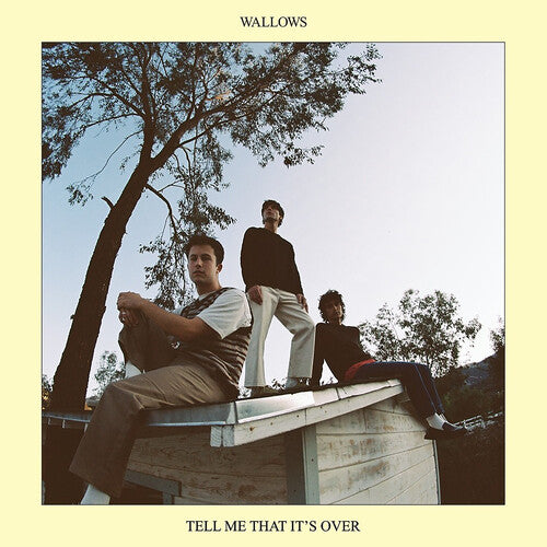 Wallows: Tell Me That It's Over - ( VINYL LP )