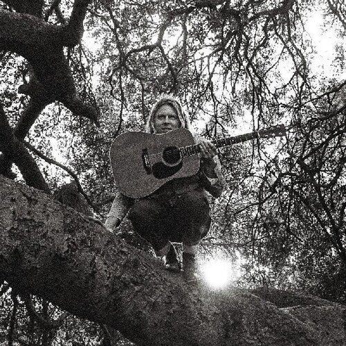 Ty Segall: Hello Hi - ( VINYL LP )