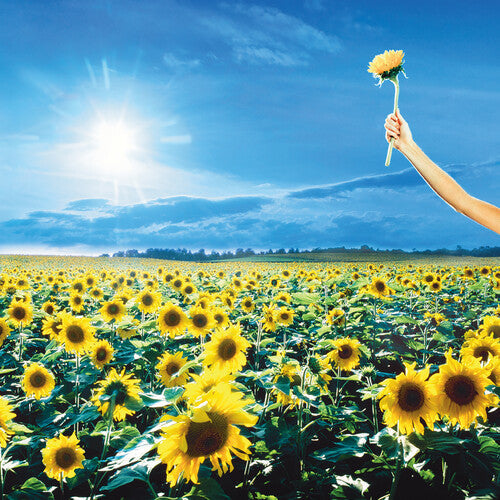 Stone Temple Pilots: Thank You - ( VINYL LP )