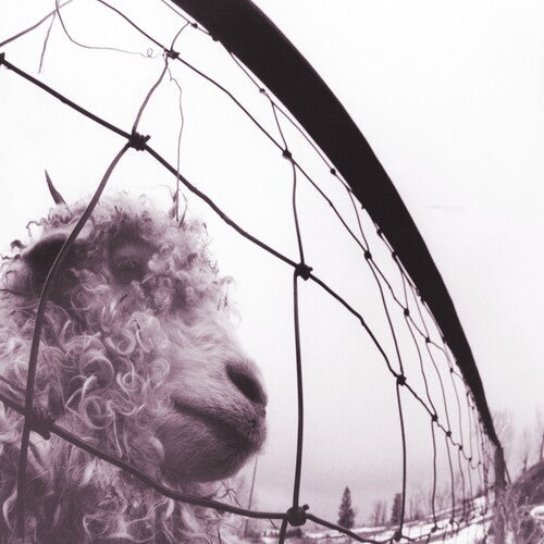 Pearl Jam: Vs. (30th Anniversary Edition) - ( VINYL LP )