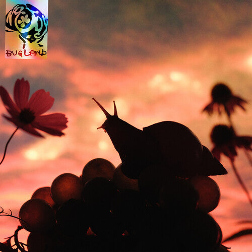 No Joy: Bugland - ( VINYL LP )