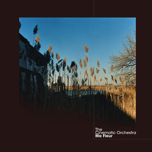 The Cinematic Orchestra: Ma Fleur - （ VINYL LP ）