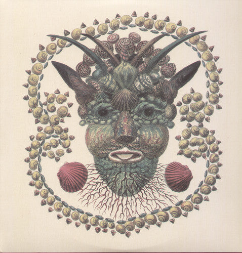 Akron/Family: Akron/Family - （ VINYL LP ）