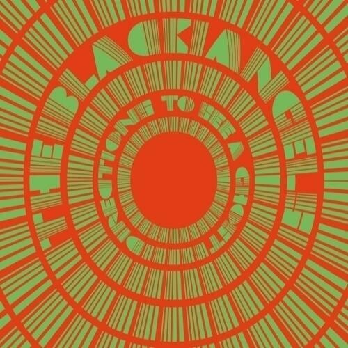 The Black Angels: Directions To See A Ghost - （ VINYL LP ）