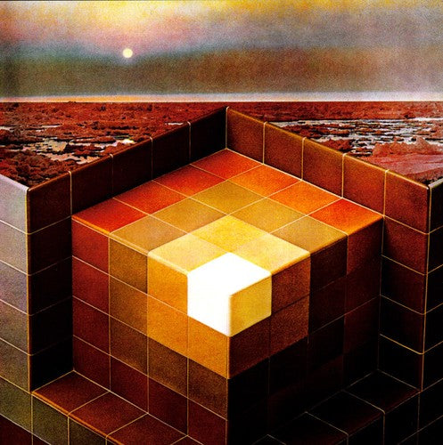 Black Mountain: In the Future - （ VINYL LP ）