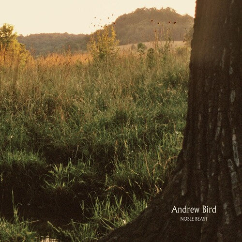 Andrew Bird: Noble Beast - （ VINYL LP ）
