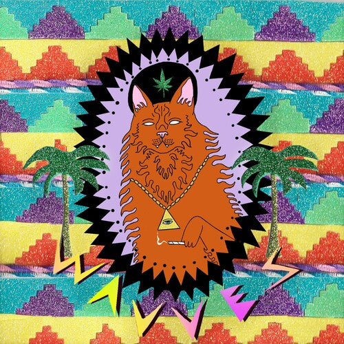 Wavves: King of the Beach - （ VINYL LP ）