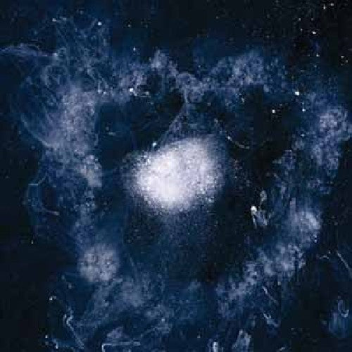 Swans: My Father Will Guide Me Up a Rope to the Sky - （ VINYL LP ）