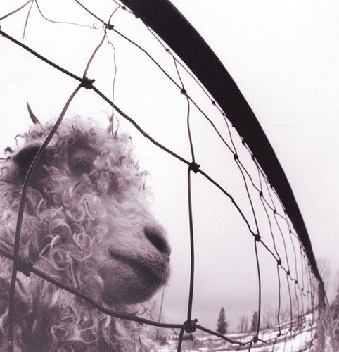 Pearl Jam: PEARL JAM / VS - （ VINYL LP ）