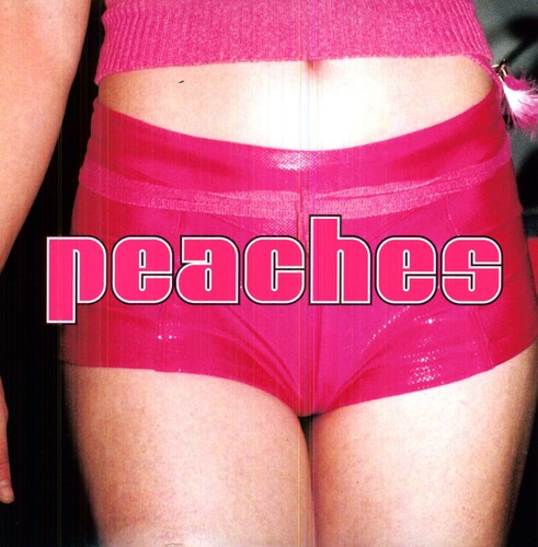 Peaches: The Teaches Of Peaches - （ VINYL LP ）