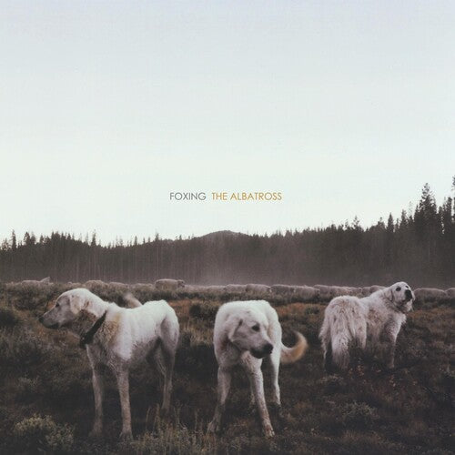 Foxing: Albatross - （ VINYL LP ）