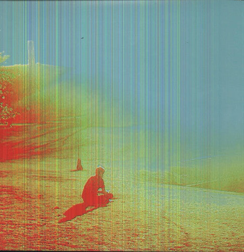 The Flaming Lips: The Terror - （ VINYL LP ）